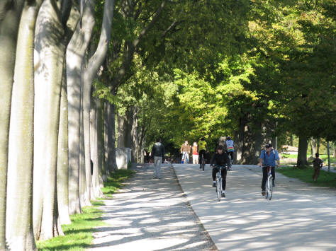 Cycling in Lucca Italy