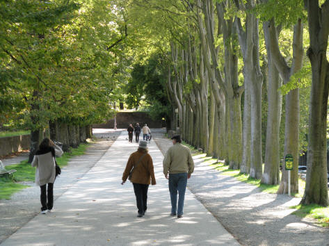 Hiking in Lucca Italy