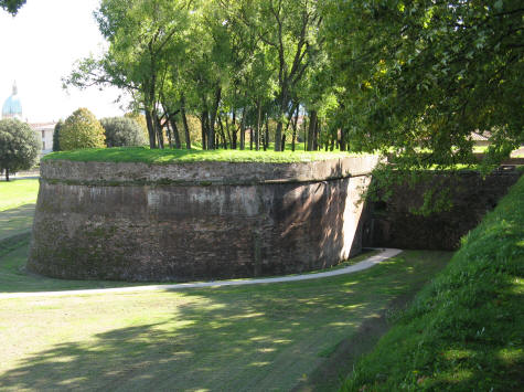 Lucca City Wall